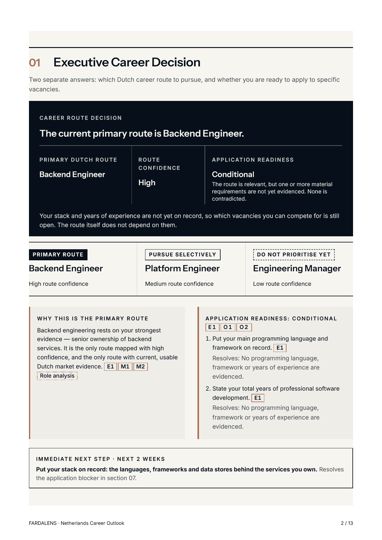 Page 2 of the synthetic sample: the Executive Career Decision, with the primary route, route confidence and application readiness.